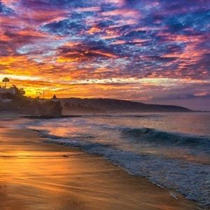 Meet your Posher, Bella